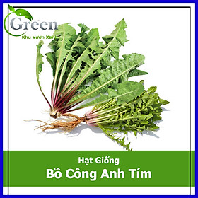 Hạt Giống Bồ Công Anh Tím 50H