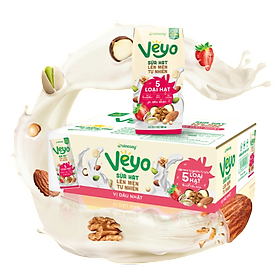 Thùng Veyo Sữa hạt lên men tự nhiên Vị Dâu Nhật (30hộp x 180ml)