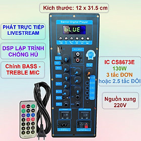 Mạch loa kéo TPA3116D2 150W LIVESTREAM - DSP lập trình chống hú loa kéo 4 – 3 tấc ĐƠN hoặc 3 – 2.5 tấc ĐÔI