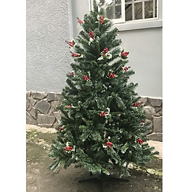 Cây thông noel 3 loại lá gắn trái đỏ cao 150cm