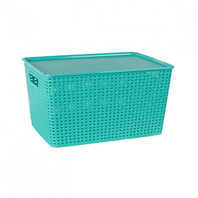 Mua Combo 3 giỏ han quốc có nắp đậy Song Long- cỡ trung (40 x 28 x 17)- màu ngẫu nghiên