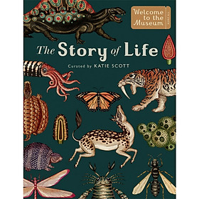 [Download Sách] The Story of Life 