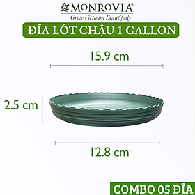 Combo 5 Đĩa lót chậu nhựa trồng cây MONROVIA 1 GL, chậu trồng cây, chậu cây cảnh mini, để bàn, treo ban công, treo tường, cao cấp, chính hãng thương hiệu MONROVIA