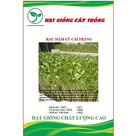 Hạt Giống Rau Mầm Củ Cải Trắng CT536 - Gói 20gram