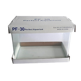 Bể cá mini 30x17x20 cm kính đúc để bàn