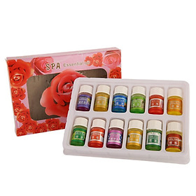12 Bottle /Box Aroma Essential Oils Pack for Aromatherapy Spa Bath Massage Skin Care Lavender Oil Relieve Fatigue Plants Essence