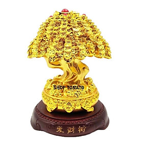 Mua CÂY TIỀN PHONG THỦY 241 CAO 18CM