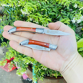 Mua Dao gọt hoa quả  dao gọt trái cây nhật Tamahagane  lưỡi không gỉ  sắc bén  có bao đựng