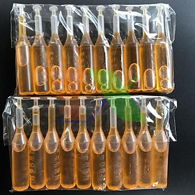 Mua Bẫy ruồi vàng(có kèm lọ dẫn dụ