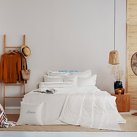 Mua Vỏ gối ôm 80*100 ESJ 24030 EVERON