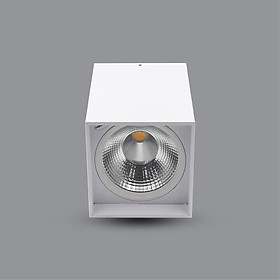 ĐÈN LED DOWNLIGHT 30W GẮN NỔI PSDLL230L30