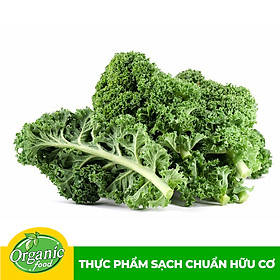 Cải Kale Hữu Cơ Organicfood - 250g