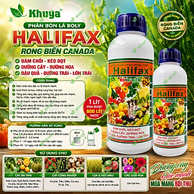 Phân bón lá NPK hữu cơ Boly Halifax Rong Biển Canada Đâm Chồi - Kéo Đọt