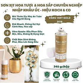 Mua Sơn Xịt Hoa Tươi Màu Vàng 14KT Gold Cao Cấp (Vàng 9999) Nhập Khẩu Úc - Ánh Vàng sang trọng  đẳng cấp - vòi phun siêu mịn  khô nhanh  mùi thơm dịu nhẹ