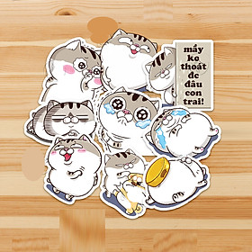 Set 30 Sticker Mèo Ami Mập Bụng Bự ảnh decal hình dán ép lụa
