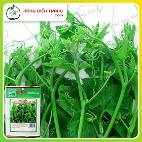 Hạt giống bí ăn ngọn siêu đọt - siêu ngọn Phú Nông - Gói 10g - Dễ trồng, sinh trưởng mạnh, kháng bệnh tốt VTNN Nông Điền Trang