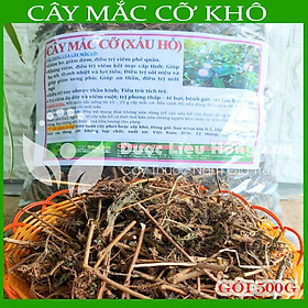 Cây Mắc Cỡ Xấu Hổ khô 1kg