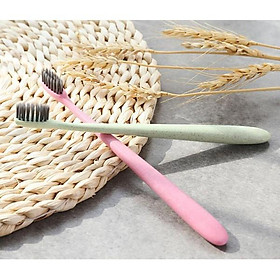 Mua Bàn chải đánh răng nano cán nhựa lúa mạch -1 cây