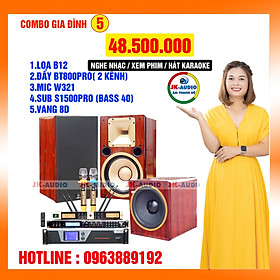 Mua Combo karaoke gia đình loa B12 trị giá 48 5 triệu - Hàng chính hãng