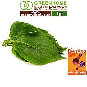 Mua Hạt Giống Rau Greenhome  Ăn Lá  Nhiều Loại  Trồng Chậu  Dễ Trồng  Trồng Quanh Năm  Năng Suất Cao