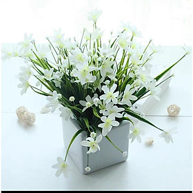 Hoa lụa, chậu hoa thủy tiên giả để bàn màu sắc tươi sáng trang trí bàn học, bàn làm việc cực xinh TT-03