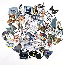 Bộ sticker chủ đề Mèo - Cat - Boss 2019, decal hình dán thú cưng  chống nước, trang trí nón bảo hiểm, điện thoại, lap top