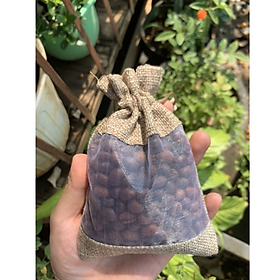Túi thơm cà phê 100gr khử mùi xe ô tô, phòng, tủ.. 100% hạt cà phê nguyên chất đắk lăk