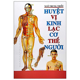 Huyệt vị kinh lạc cơ thể người