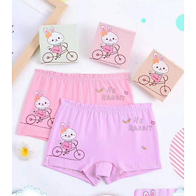 Quần chip đùi cho bé gái size 13-18kg chất cotton mềm mịn mát