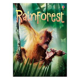 Download sách Usborne Rainforests