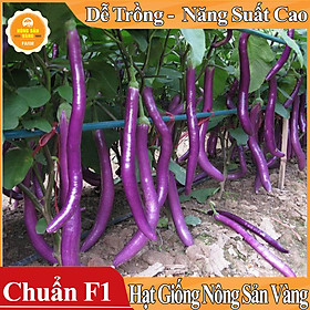 Hạt giống Cà Tím Quả Dài Năng Suất Cao ( Gói 1 Gram )