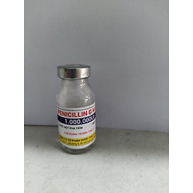 Thuốc bột pha tiêm PENICILLIN G KALI Trị viêm vú, viêm tử cung