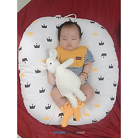 Mua Gối nằm chống trào cao cấp xuất Hàn cho con cực tiện lợi