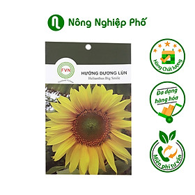 Hạt giống hoa Hướng Dương Lùn FVN