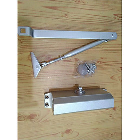 Mua Tay đẩy hơi ( cùi chỏ hơi ) dành cho cửa gỗ 45-65kg