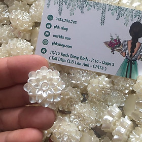 100grm nhụy hoa trai 2.5cm phụ liệu handmade