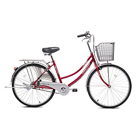 Xe đạp Thống Nhất mini 219 –24/ 26