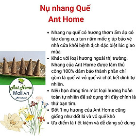 Mua Tặng đĩa sòNụ Palo Santo thủ công - Túi 10 nụ  Gỗ trắc xanh nhập khẩu  giúp thanh lọc không gian