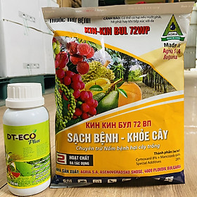 Combo trừ bệnh KinBul 500g và phân bón lá ECO Plus 250ml - Sạch bệnh hại cây trồng và khoẻ cây, tăng chất lượng nông sản