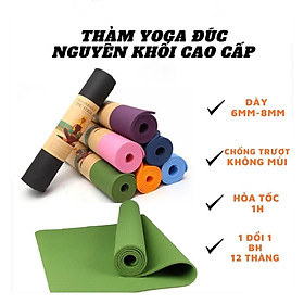 Thảm Tập Yoga Gym 1 Lớp Đúc Nguyên Khối Cao Cấp Chống Trượt TPE Dày 6mm-8mm