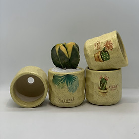 Bộ 4 Chậu Sứ - 7x7x7 Cm - Mầu Be Đậm – Dáng Trụ - Chậu Gốm Bát Tràng Trồng Cây Mini Để Bàn, Sen Đá, Xương Rồng, Cây Cẩm Nhung (Fittonia, May Mắn) & Tiểu Cảnh Terrarium