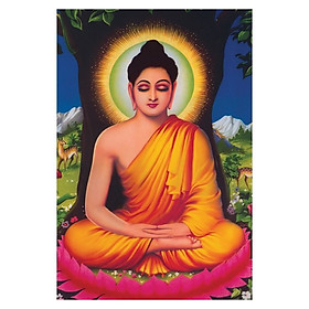 Mua Tranh Phật Giáo Thích Ca Mâu Ni Phật 2482