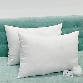 Mua Set 2 Ruột Gối Ép 45x65