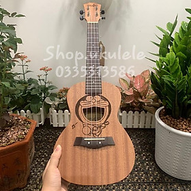Mua ĐÀN UKULELE CONCERT
