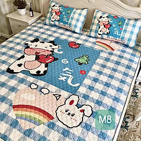Mua Chiếu điều hòa cao su non  Chiếu cao su non 5D hàng nhập cao cấp