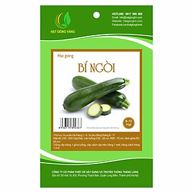 Hạt giống bí ngòi Golden Seeds 8H