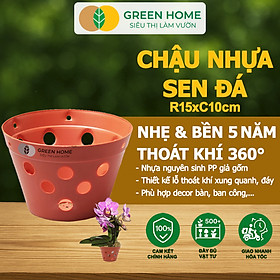 Chậu Trồng Lan Greenhome, R15xC10cm, Nhựa Màu Gốm, Bền, Đẹp, Chống Rơi Vỡ, Thoáng Rễ, Giá Thành Tốt - 1 CHẬU LAN 10X15CM