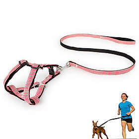 Dây dắt yên ngựa in hoa 1 mặt 2 lớp - dây dắt chó mèo size 1.0 (chó mèo dưới 5kg) màu ngẫu nhiên