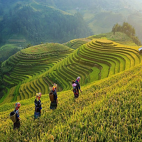 Khám phá vòng cung Tây Bắc 5 ngày 4 đêm