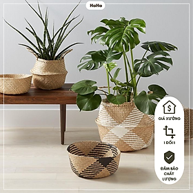 Giỏ cói trồng cây cảnh nhiều mẫu nhiều kích thước GCD